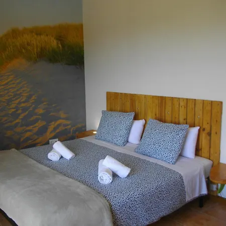 Rex Surf House * Areia Branca