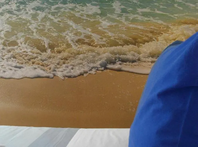 Сasa de vacaciones Rex Surf House